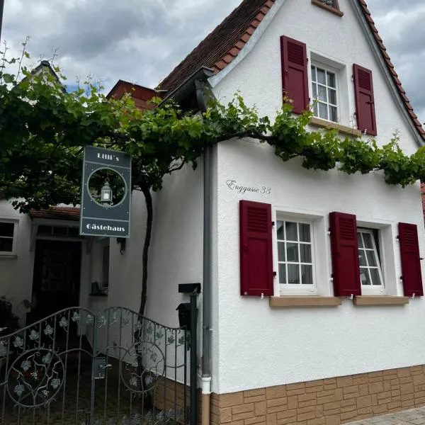 Lilli's Gästehaus, Hotel in Offenbach an der Queich