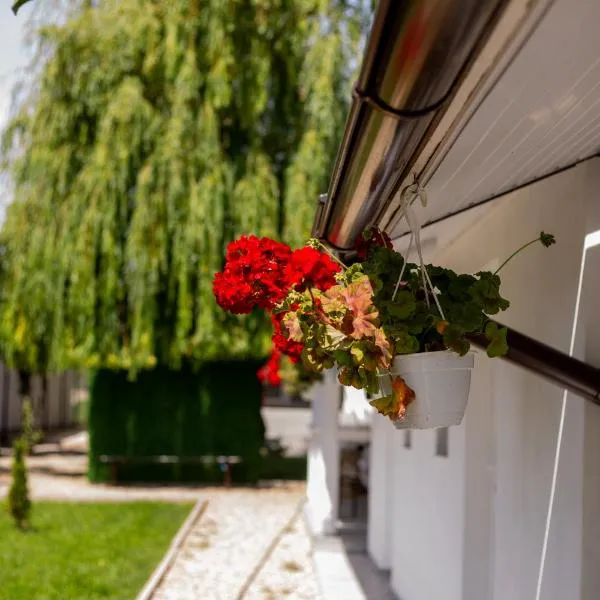 Mafmaf Tiny Houses, hotel in Ovidiu