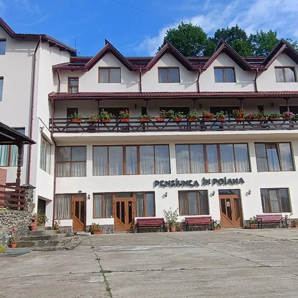 Pensiunea In Poiana, hotel v destinaci Glod