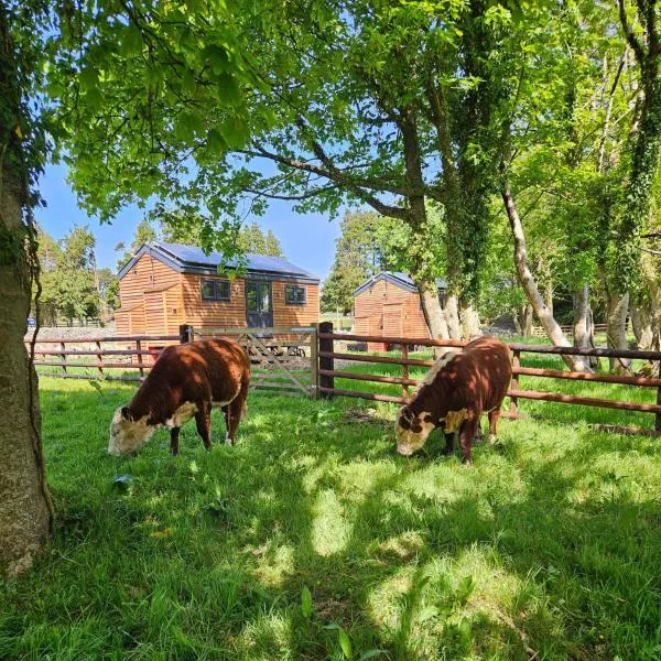 Woodland Shepherds Hut - 'Saga', Hotel in Caernarfon