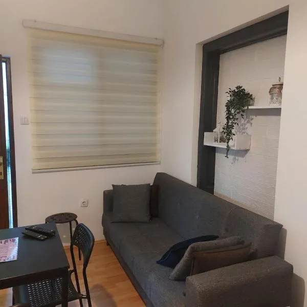 Studio Janko, hotel in Vrnjačka Banja