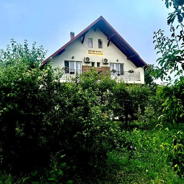 Pensiunea La Meleta, hotel in Şurdeşti