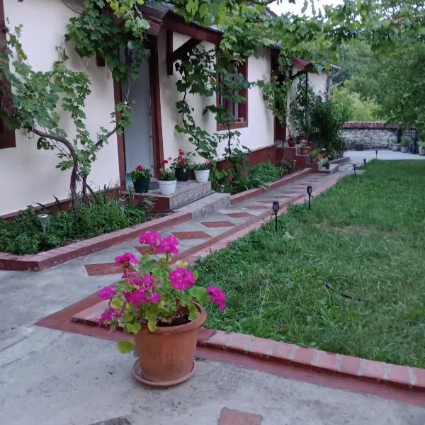 Casa Dragoi din Socolari, 218, Caras - Severin, hotel di Socolari