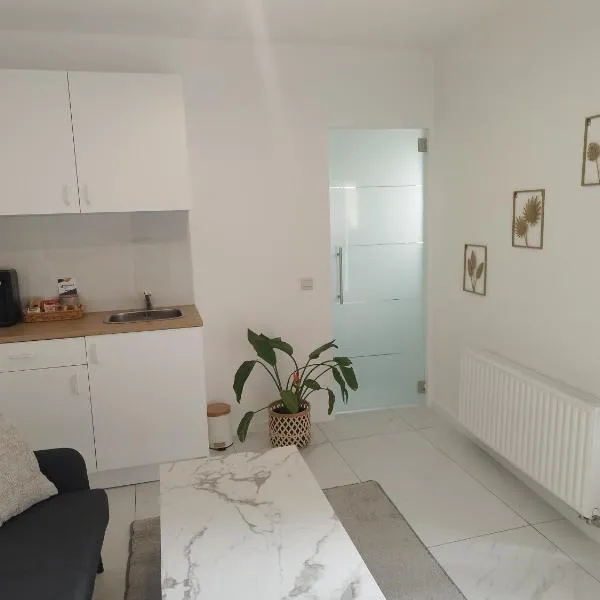 Apartment l'Anil Garden, hotel v destinaci Dinant