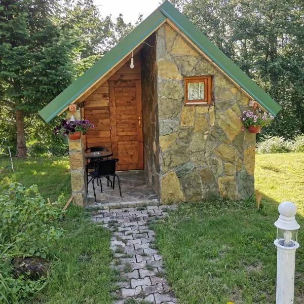 Bungalov Živković, Hotel in Mojkovac