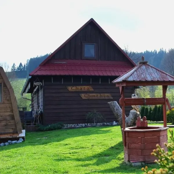 Chata Cynthia, hotel in Liptovský Mikuláš