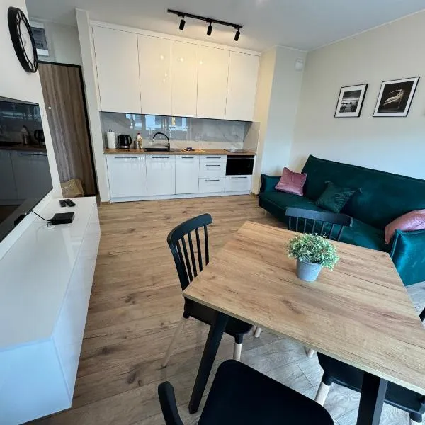 Apartament w Zieleni, hotel in Toruń