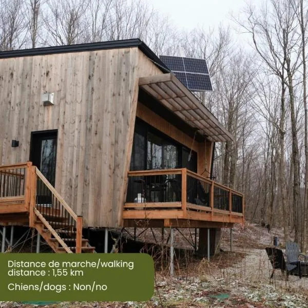 Cabin Zoobox 77, khách sạn ở Eastman