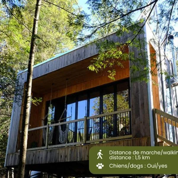 Cabin Zoobox 81, khách sạn ở Eastman