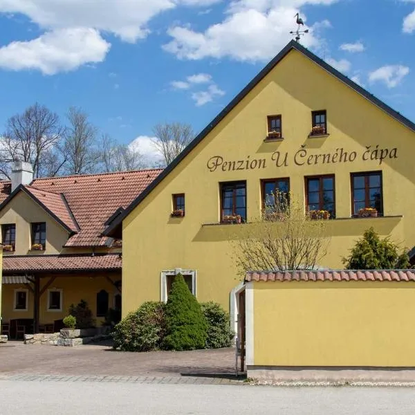 Penzion U Černého čápa, hotel v destinaci Lasenitz