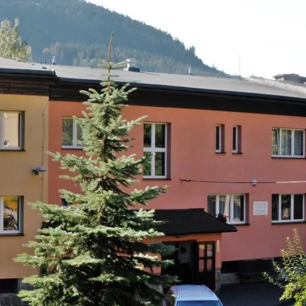 Hotel U Přehrady, ξενοδοχείο σε Morávka