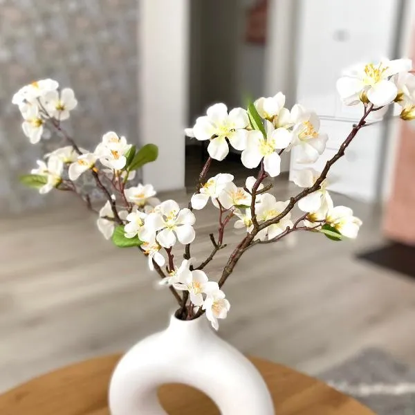 Hubane külaliskorter Pärnus, khách sạn ở Pärnu