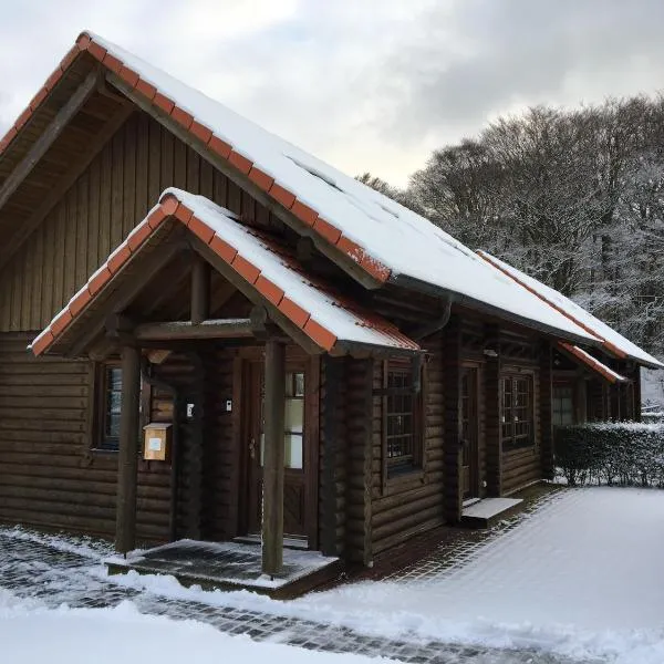 Blockhaus Leif Eriksson - 2 Reihe Meerblick, отель в Заснице