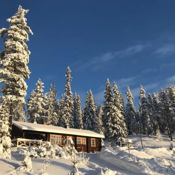 Fjällstuga Lofsdalen, hotel sa Lofsdalen