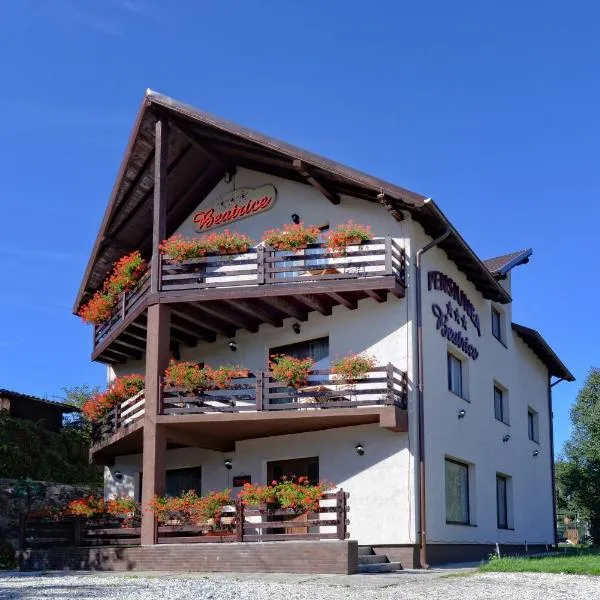 Pensiunea Beatrice, Hotel in Vatra Dornei