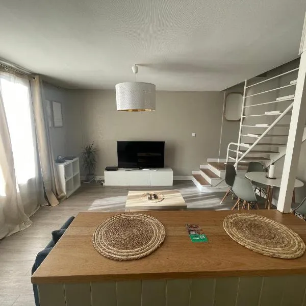 magnifique Duplex avec 2 chambres et parking gratuit, hotel v Grenoblu