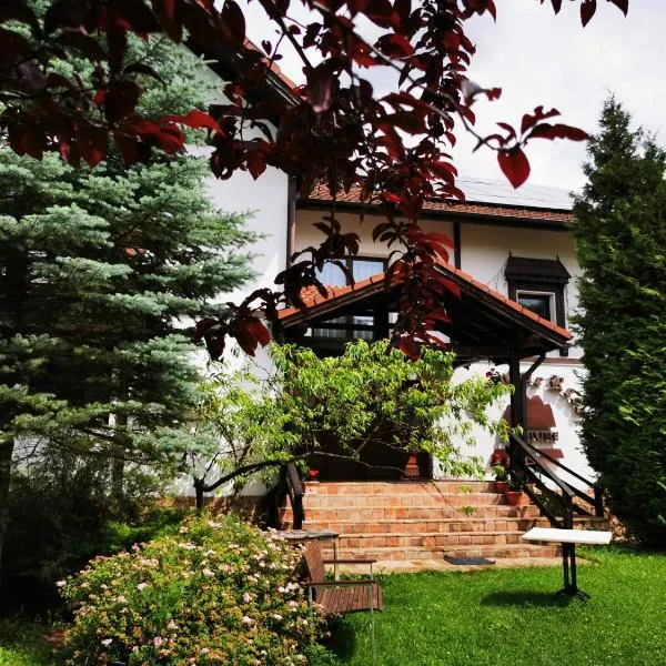Pensiunea Muntele Rece, hotel v destinaci Bran