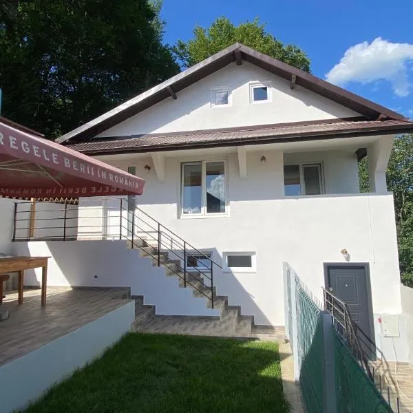 Casa NICORAD Apartamente，Pucioasa的飯店