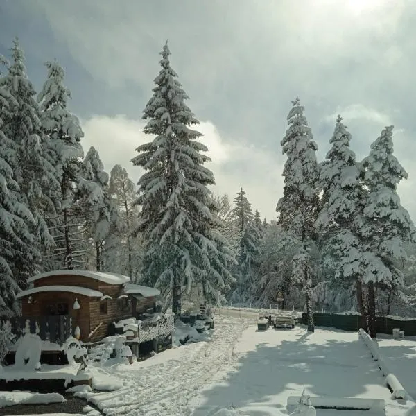 Domaine de la Mamounette, hotel u gradu 'Champclause'