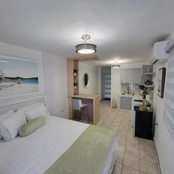 L & R Studio, hotel v destinaci Mayagüez