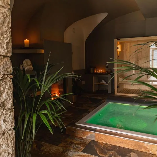 Villa Antica Colonia SPA & Wellness, hotel in Pettenasco