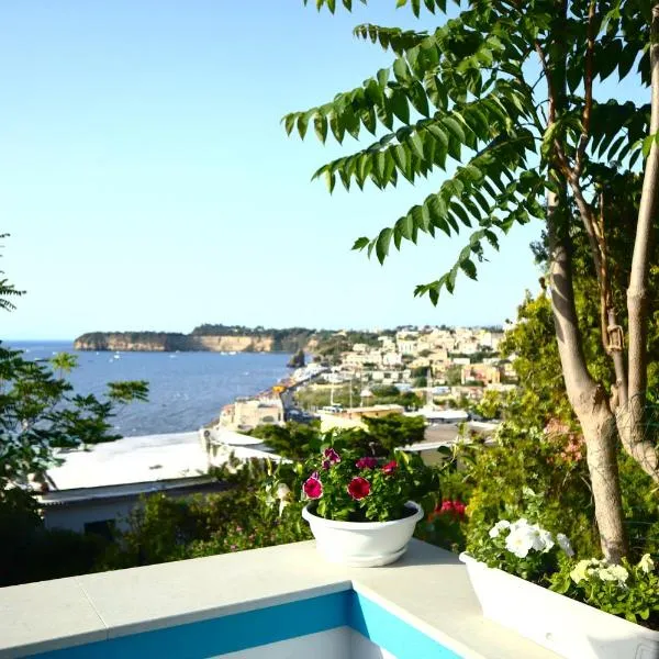 Santa Margherita Suite - CHIAIOLELLA, hotel in Procida