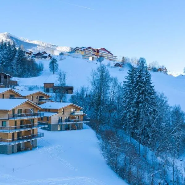 Panorama Lodge Premium Apartments, hotel in Schladming