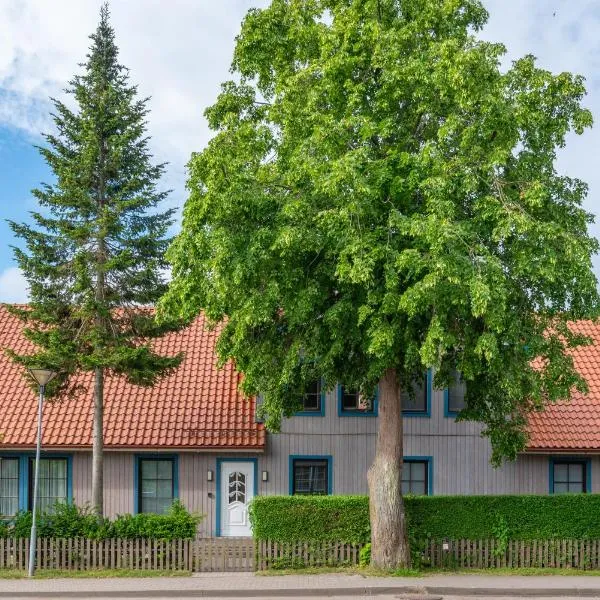 Egidijaus Vila, hotel in Nida