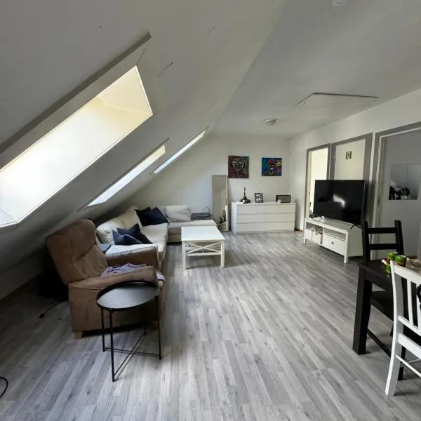 Spacious and central apartment I 250m from Bryggen, hotel in Bergen