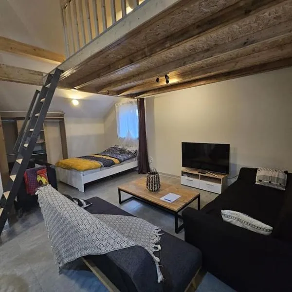 O'Pains d'Epices, hotel v destinaci Horbourg
