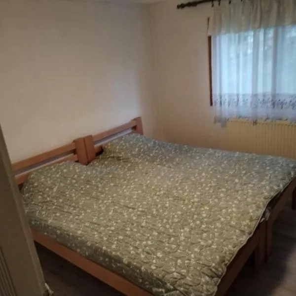 Smeštaj Aleksa, hótel í Soko Banja