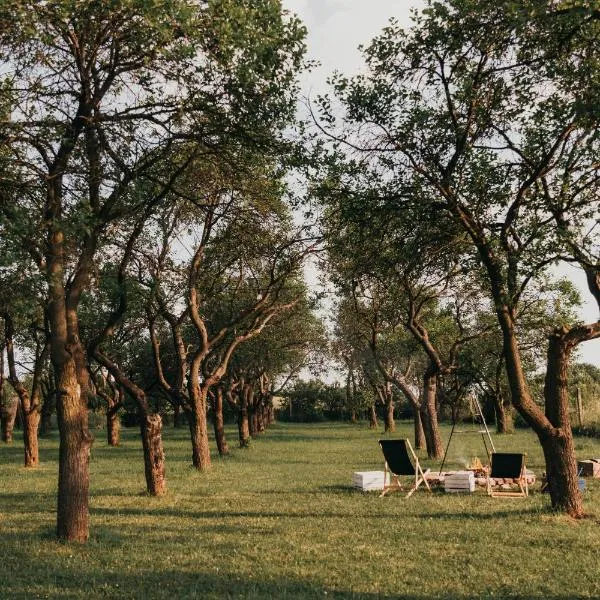 Śliwkowy Sad-Plum Orchard-Jura, hotel em Mirów