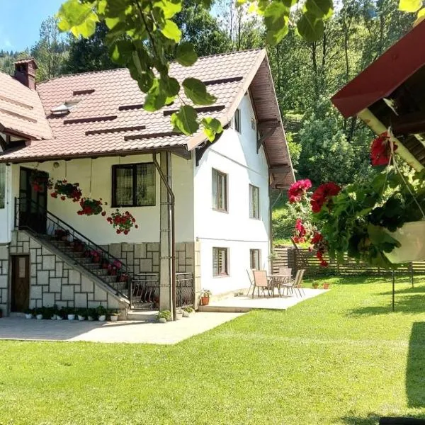 Casa Adi, hotel in Moieciu de Sus