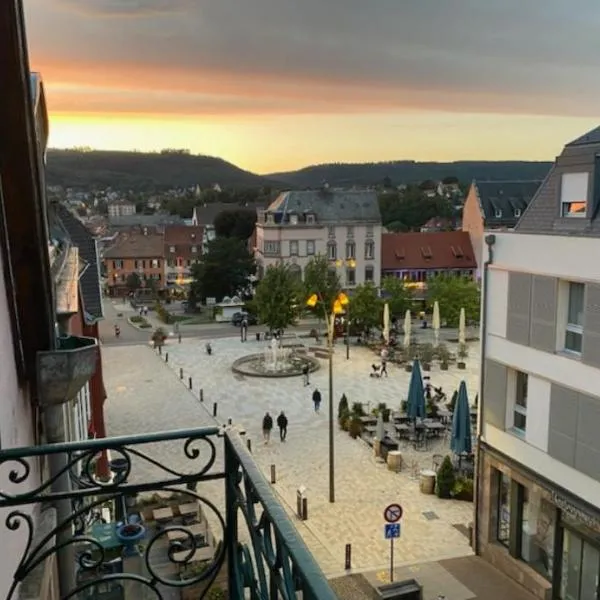 Centre historique de Saverne, bel appartement de 65 m2, Hyper Centre zone piétonne, Parking gratuit à proximité, hotel in Saverne