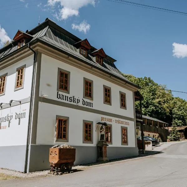 Penzión Banský dom, hotel in Banská Štiavnica
