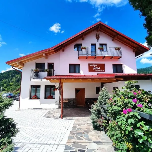 Pensiunea ANCA, hotel en Statiunea Borsa