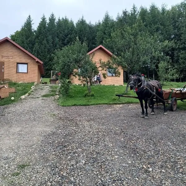 BIESZCZADZKA Antosiówka, hotel v destinaci Zahoczewie