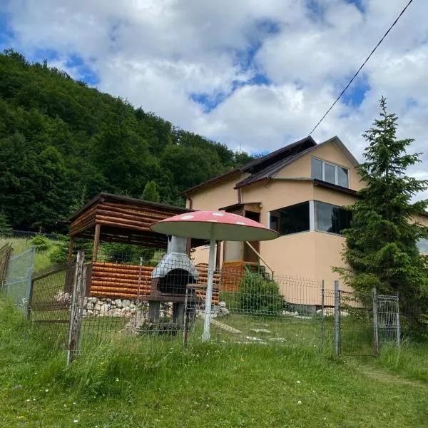 Vila Luca, hotel v destinaci Ciocanu