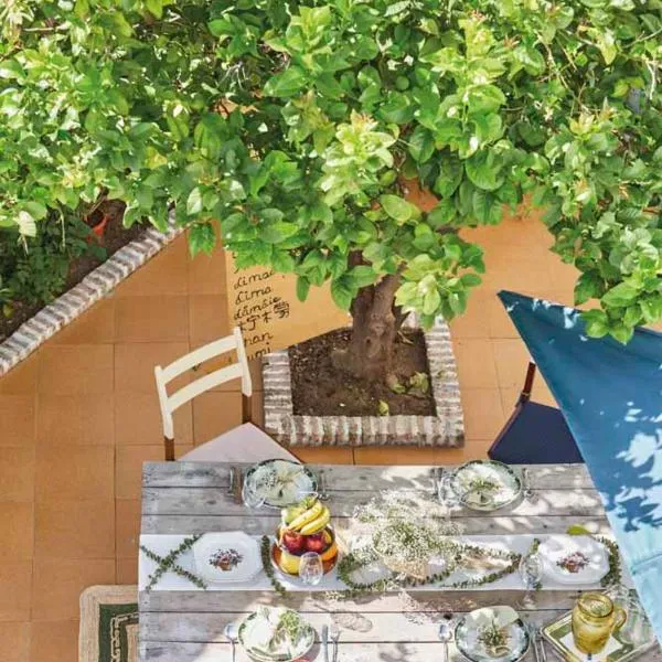 El Patio del Limonero, hotel in Écija
