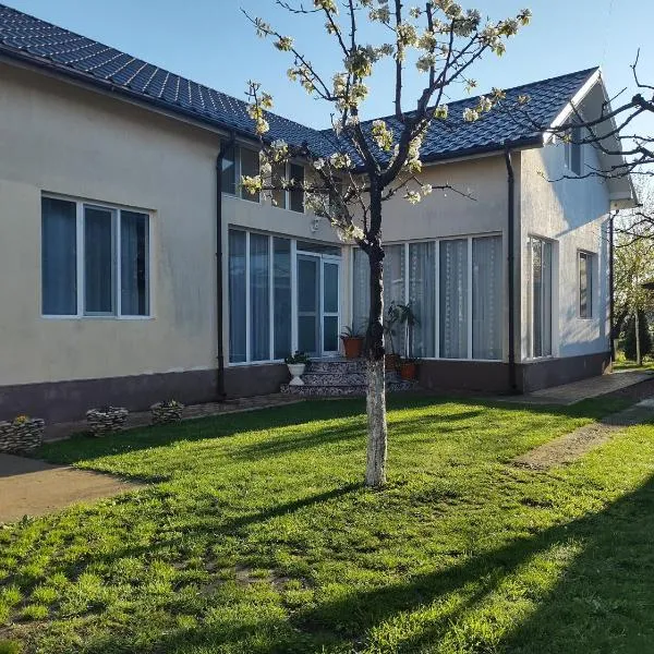 casa Olga 2 Mai, khách sạn ở 2 Mai