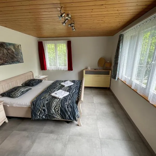 Bellevue Apartment, מלון ברינגנברג