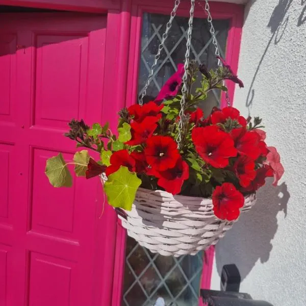 The Pink Door, hotel v destinaci Killala