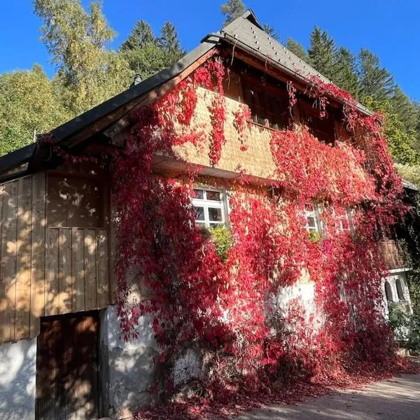 Auszeit am Kreisbach, hotel a Triberg