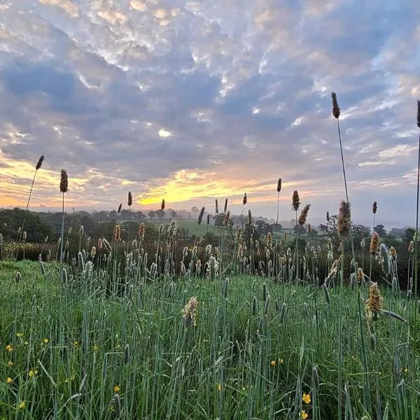 Welsh hilltop escape Llandeilo-Glamping and holiday let, hotell sihtkohas Llandeilo