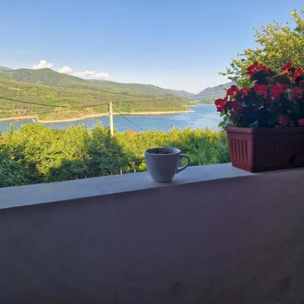 Zavojsko jezero - kuća Mitić, hotel v destinaci Pirot