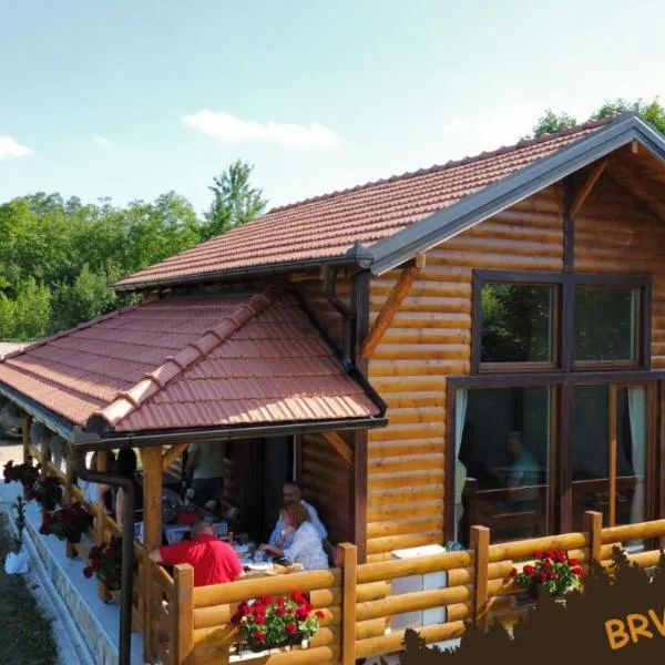 Brvnara Beni, hotel v destinaci Vrdnik