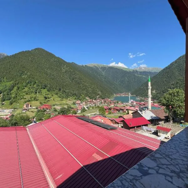 Uzungöl Dilek Pansiyon, hotel v destinaci Uzungöl