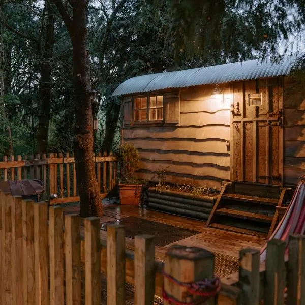 Llethrau Forest & Nature Retreats, hotel di Knighton