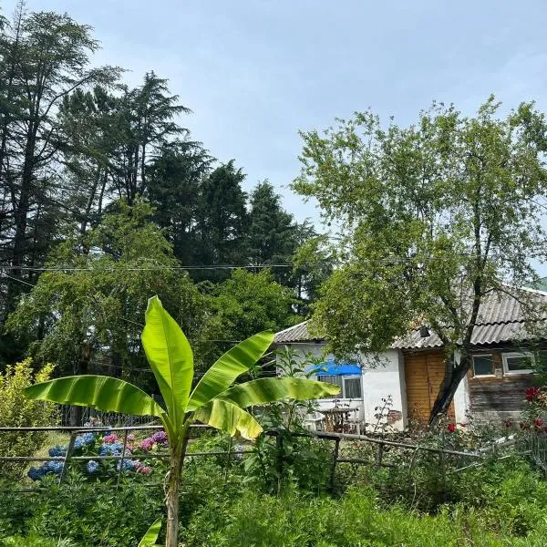 OK Sahli, hotel v destinaci Šekvetili