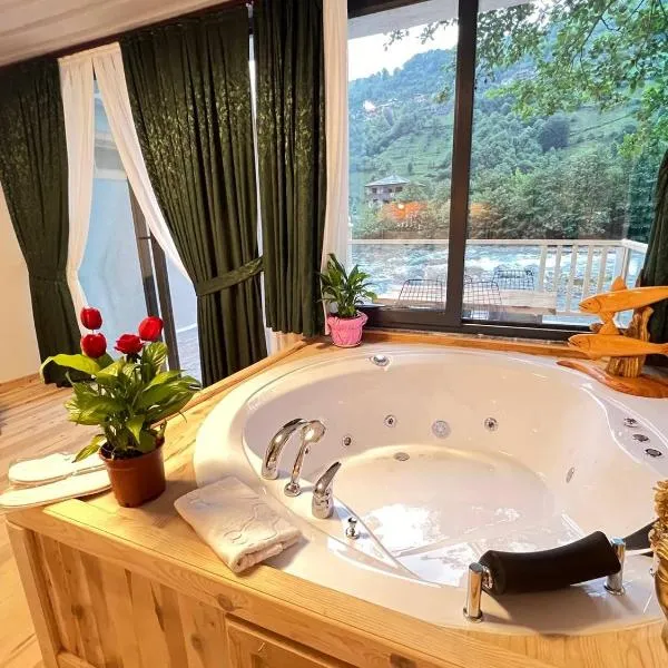 Ayder Vip River, hotel Ardeşenben
